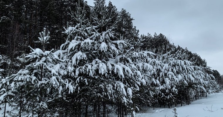 До -12 градусов ожидается в Удмуртии в новогоднюю ночь