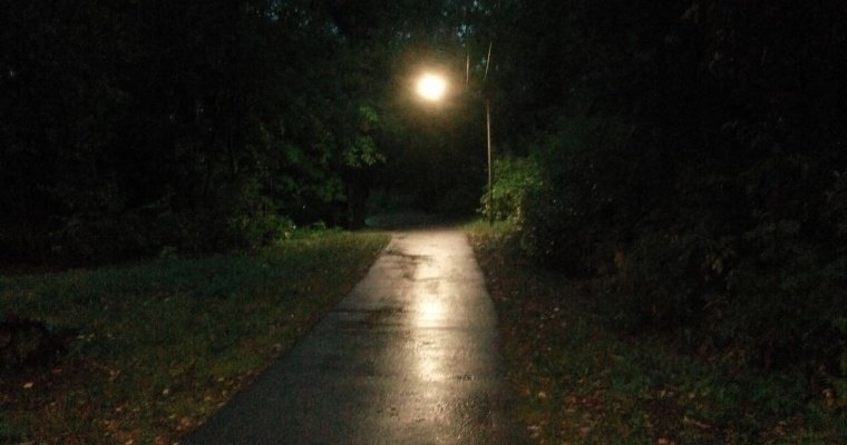 В 53 деревнях Можгинского района заменили перегоревшие фонари