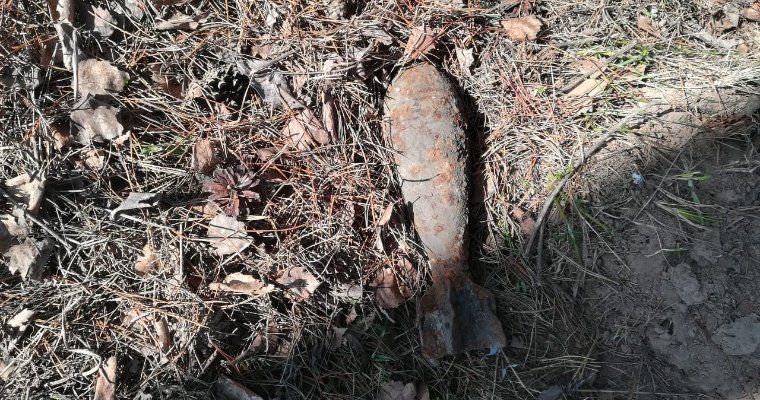 За майские выходные в Удмуртии обнаружили две боевые гранаты и миномётный снаряд