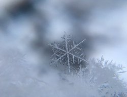 В Удмуртии 18 февраля температура воздуха составит -11…-16°С