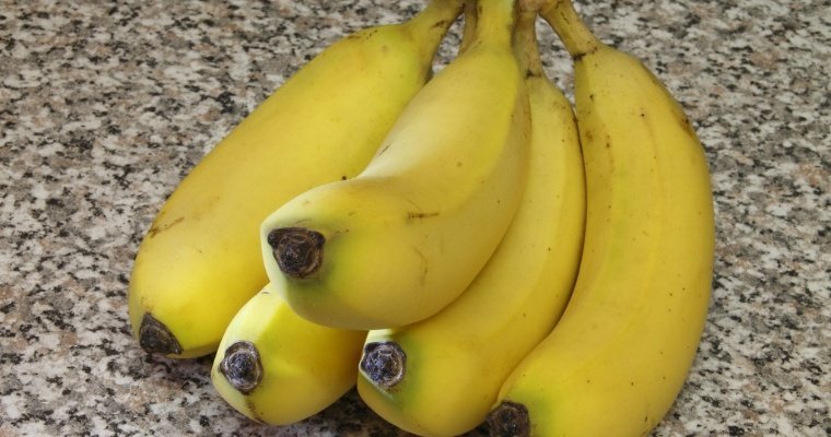 В Петербурге перехватили крупную партию кокаина на судне с бананами из Эквадора 