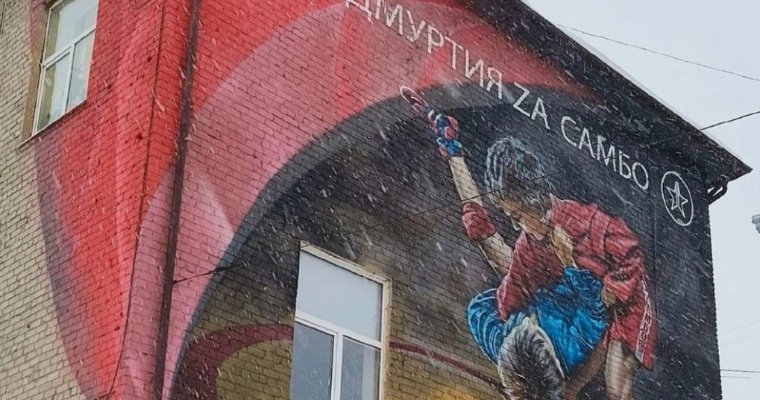 «Удмуртия Za самбо»: в Ижевске появился новый мурал