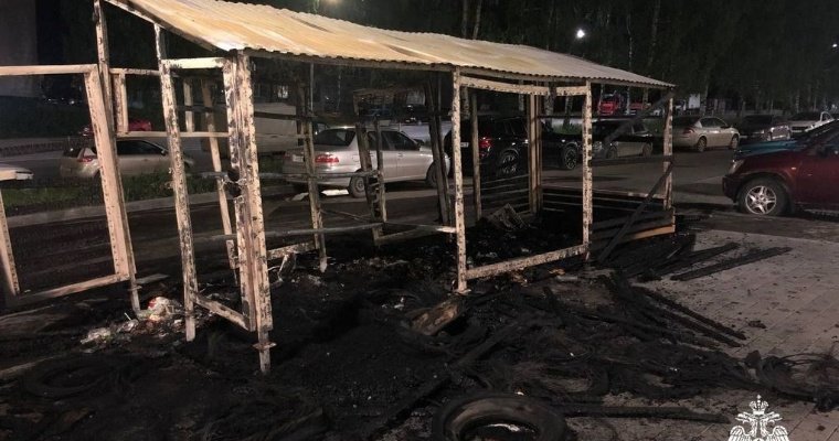 Три автомобиля чуть не сгорели из-за пожара на мусорке в Ижевске