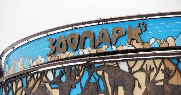 В Ижевском зоопарке появятся урны в виде животных для раздельного сбора мусора 