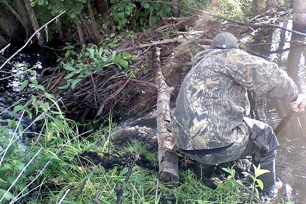 Нижегородские охотники выстрелили в инспектора, приняв его за бобра