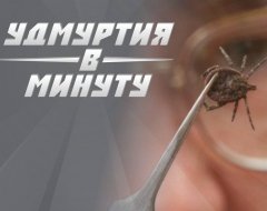 Удмуртия в минуту: клещевой энцефалит и сбор денег для сироты