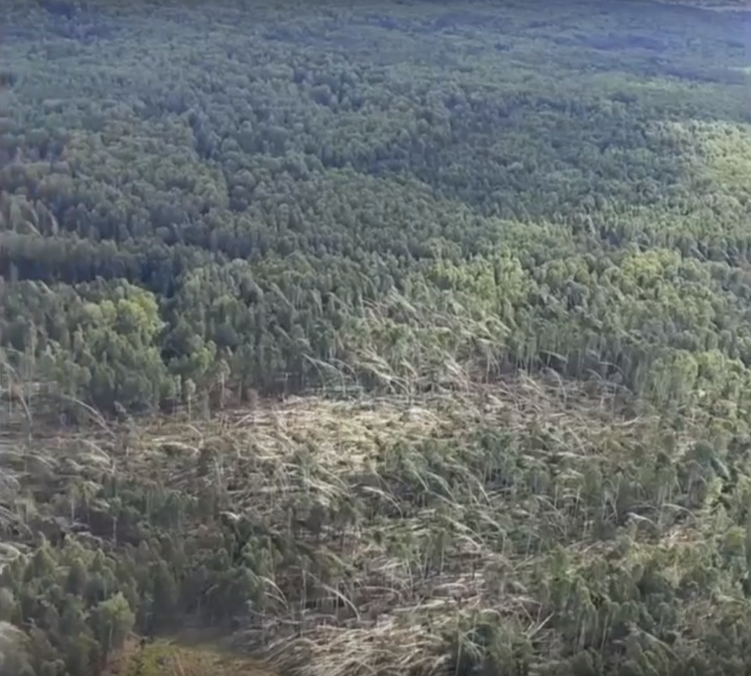 В Удмуртии обсудили планы по ликвидации последствий ветровала в лесах 