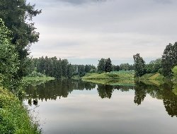 Итоги дня: причина гибели рыб в Чемошурском пруду под Ижевском и осуждённый за дискредитацию армии житель Сарапула 