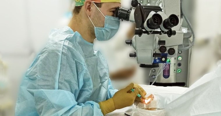 С июня 2021 года в Удмуртии выполнили 66 операций по пересадке роговицы глаза