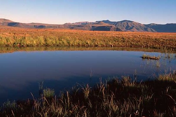 Дожди переполнили водоемы Самарской области
