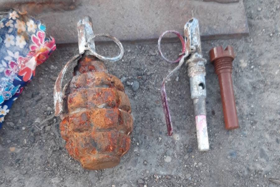 Ижевчанин с помощью магнита выловил из городского пруда гранату