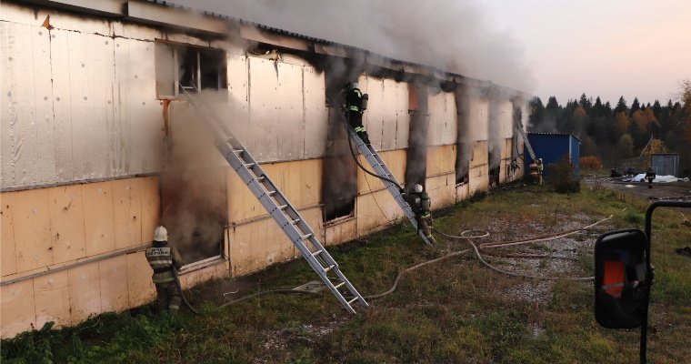 Причиной пожара на складе под Ижевском стала ошибка при выполнении сварочных работ