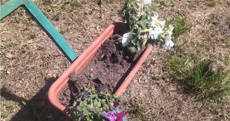В Алнашах случился повторный акт вандализма