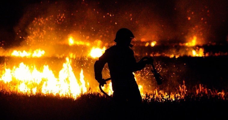 В Удмуртии начались первые природные пожары