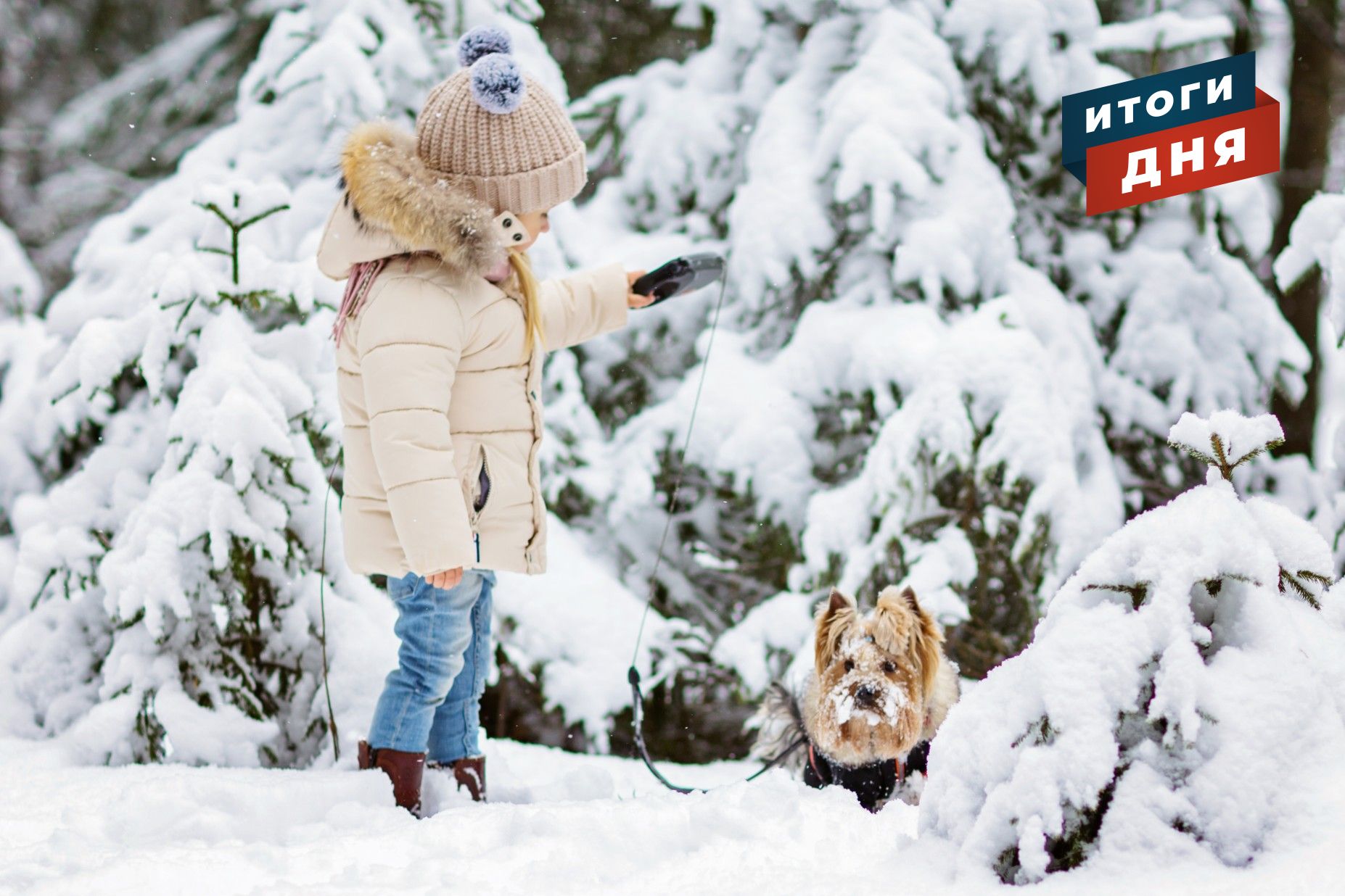 

Итоги дня: запрет на выгул собак на детских площадках в Ижевске и поиски тракториста, «воровавшего» снег


