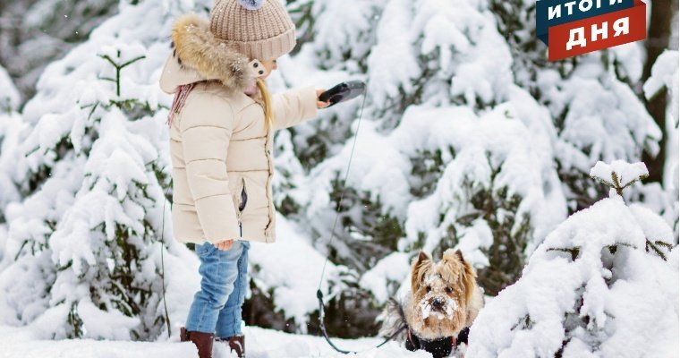 Итоги дня: запрет на выгул собак на детских площадках в Ижевске и поиски тракториста, «воровавшего» снег