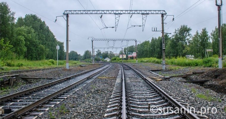 Летом проводниками поездов будут работать 400 студентов вузов и техникумов Удмуртии