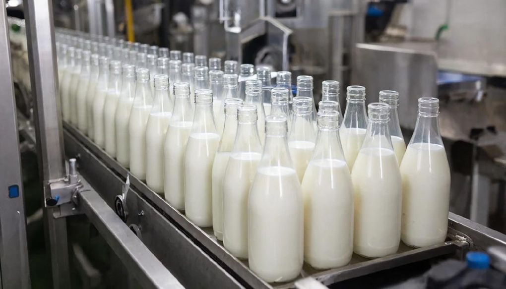 Агрохолдинг из Удмуртии планирует вложить в уфимский молочный завод более 5 миллиардов рублей