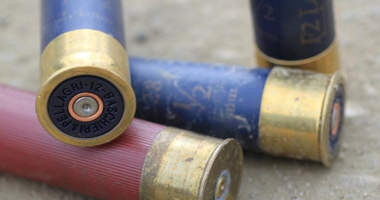 Жителя Кизнерского района осудят за браконьерство и незаконное изготовление боеприпасов