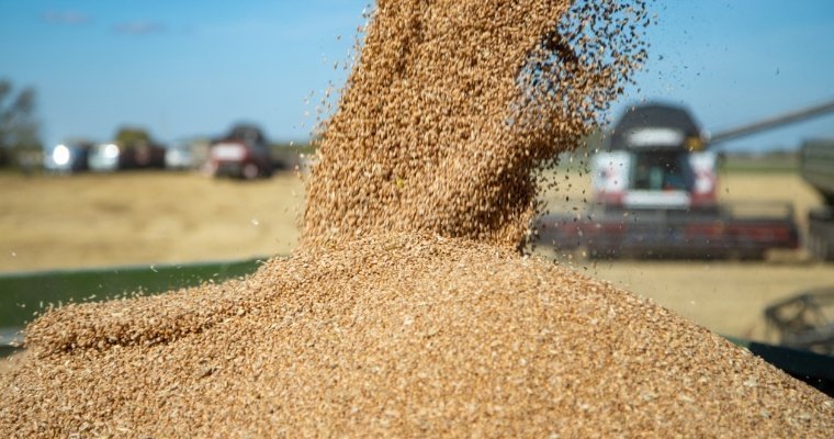 За 5 лет Удмуртия планирует увеличить экспорт сельхозпродукции почти в 7 раз