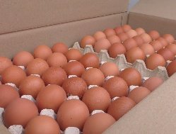 Агрохолдинг «КОМОС ГРУПП» к Пасхе пожертвовал нуждающимся более 150 тысяч яиц
