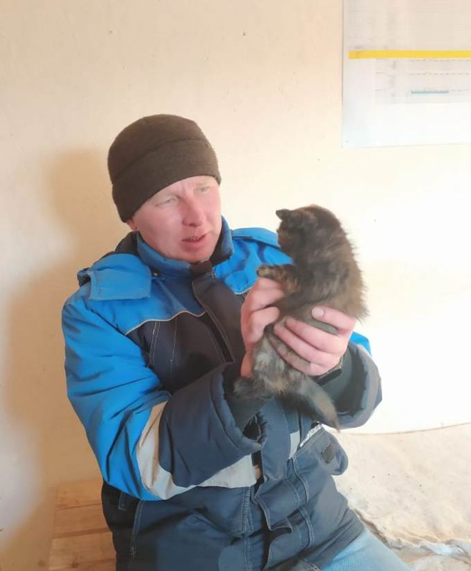 

Замерзающего котенка спасли рабочие, ремонтировавшие дорогу в Удмуртии

