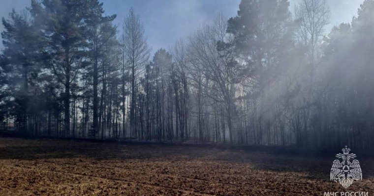 На территории Удмуртии ожидается чрезвычайная пожароопасность лесов