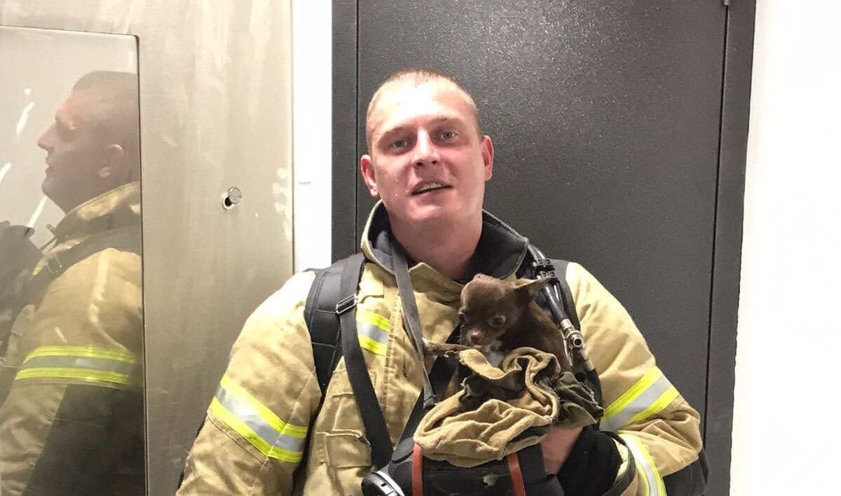 Маленькую собачку спасли из горящей квартиры в Ижевске