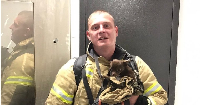 Маленькую собачку спасли из горящей квартиры в Ижевске