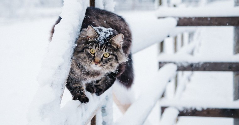 Аномальные холода ожидаются на большей части территории России