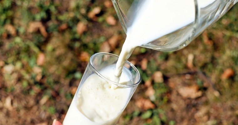 В Удмуртии молоко дорожает медленнее, чем в ПФО и в целом по России