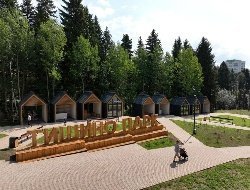 Глава Ижевска прокомментировал ситуацию с досуговыми домиками в парке «Тишино»