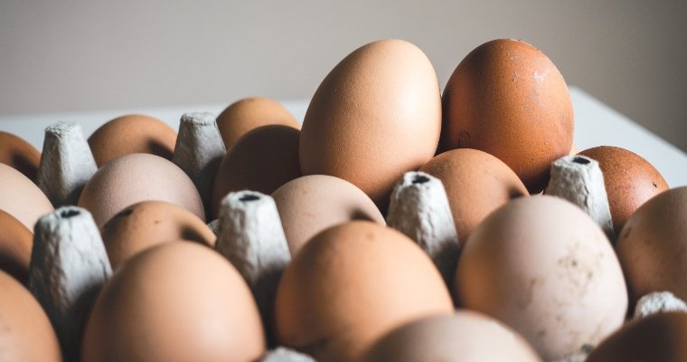 Ольга Абрамова: снижения цены на куриное яйцо в Удмуртии ожидать не надо