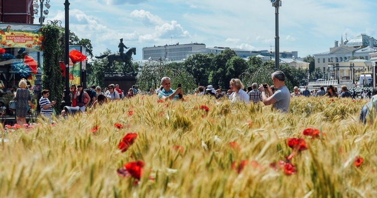 Чат-бот Борис начал проводить бесплатные экскурсии по Москве