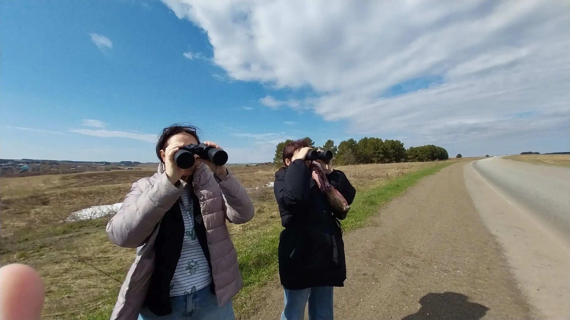 Жители Удмуртии могут помочь в подсчёте численности сурков-байбаков