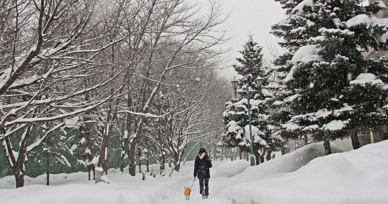 Погода в Удмуртии: сильный снег и ветер ожидаются в четверг