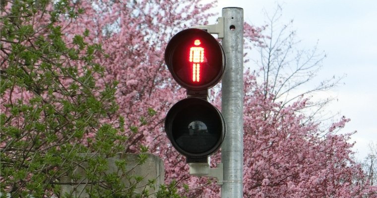 Светофор с кнопкой установят на улице Дзержинского в Ижевске