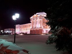 Картина дня: гибель забежавшей в Ижевск рыси и число будущих первоклашек в Удмуртии