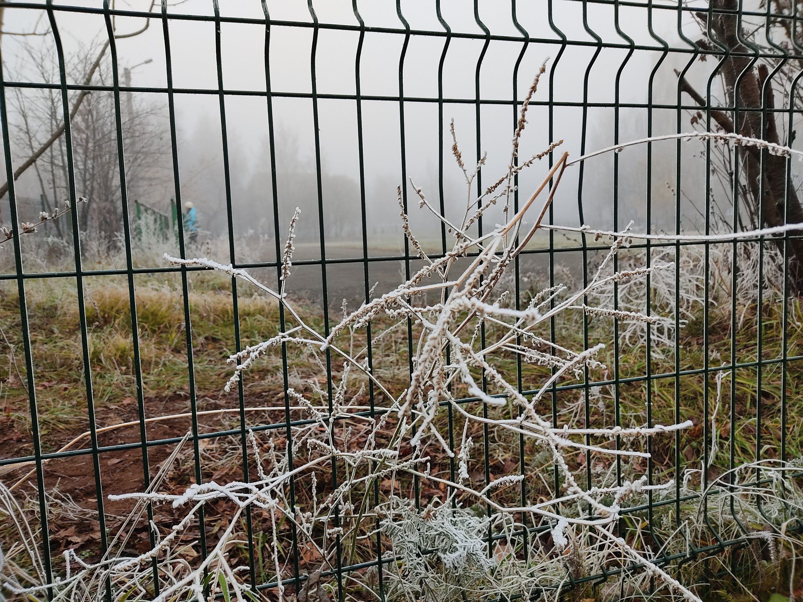 Минувшей ночью минимальная температура воздуха в Удмуртии опустилась до -5,3С