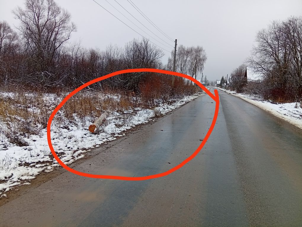 Жители деревни в Удмуртии пожаловались на выпадающие из лесовозов брёвна