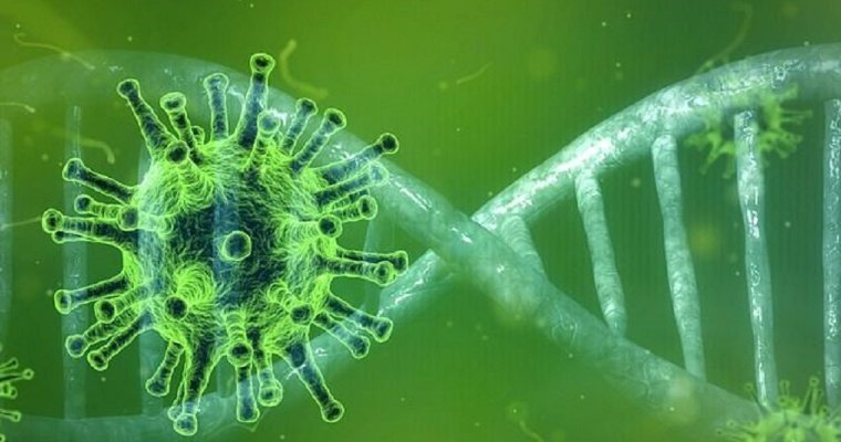 Китайские ученые открыли универсальное антитело против всех штаммов COVID-19