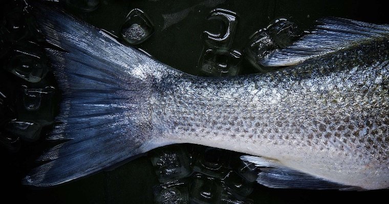 В Удмуртии выявили почти 7,5 тонны просроченной рыбы, приготовленной к продаже