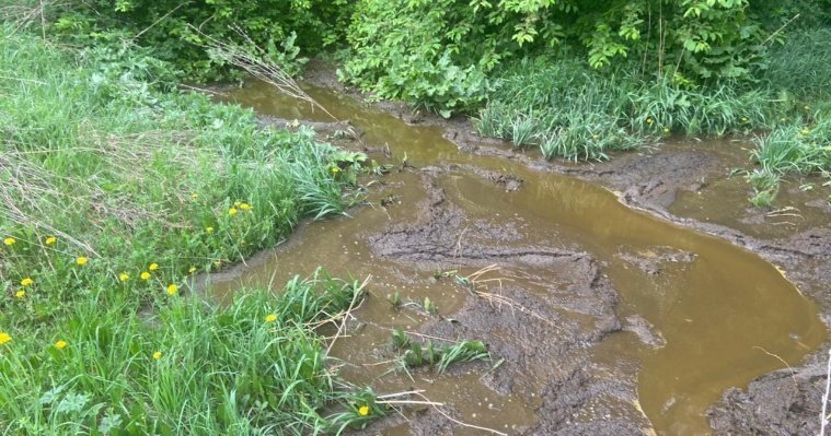 В Удмуртии садоводы обнаружили мертвую рыбу в реке Большая Сарапулка 