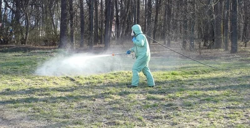 Зелёные зоны Сарапула начали обрабатывать от клещей и грызунов