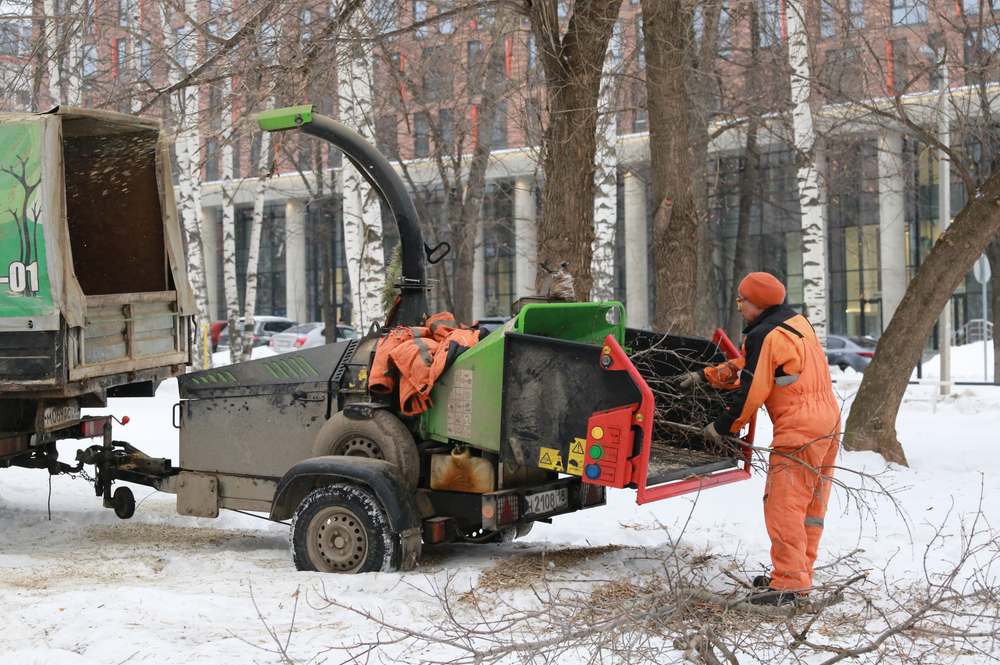 Подрядчик начал уборку аварийных деревьев на улицах Ижевска