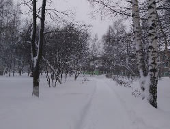 16 февраля в Удмуртии сохранится снежная погода