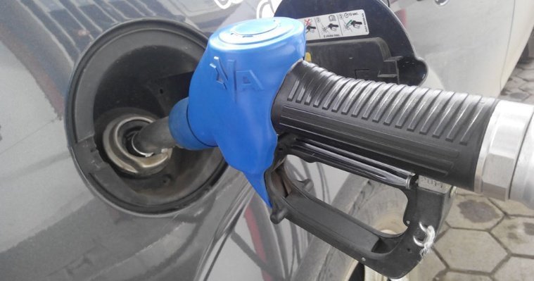 Удмуртское УФАС проверит возможные манипуляции с ценами на бензин  