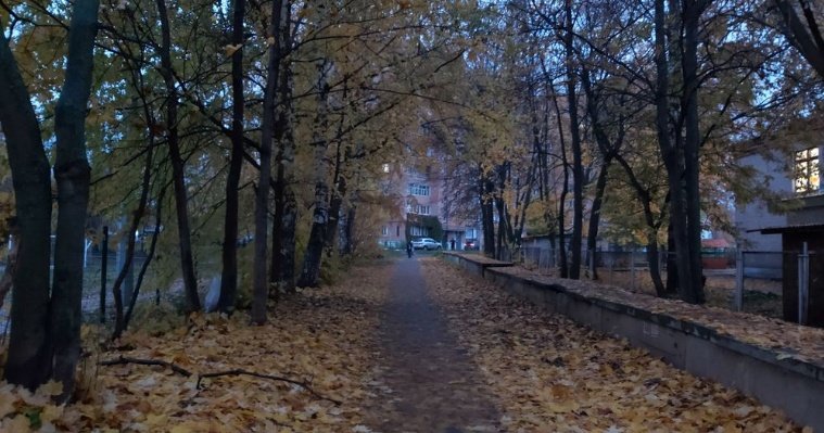 7 ноября воздух в Удмуртии прогреется до +8 градусов