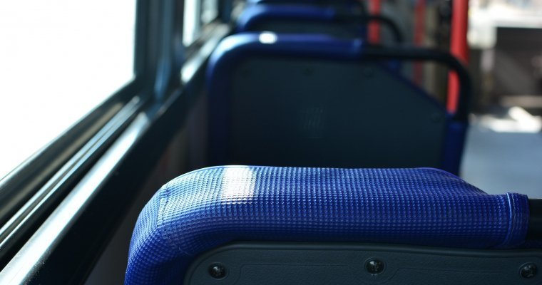 Стало известно расписание автобусов, которые отвезут ижевчан на лыжный марафон имени Кулаковой