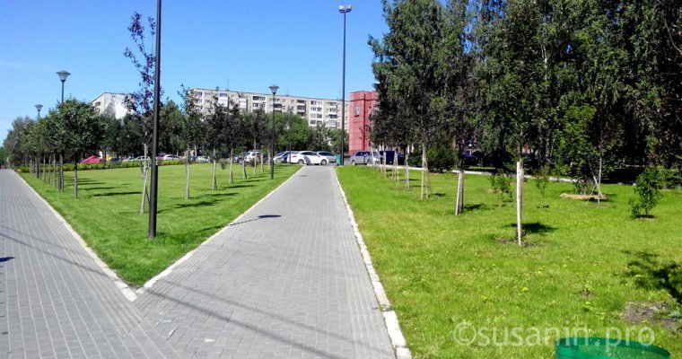 Стало чище: Ижевск оказался на 64 месте рейтинга самых чистых городов